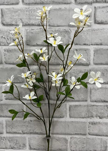 White Plum Flower Stem
