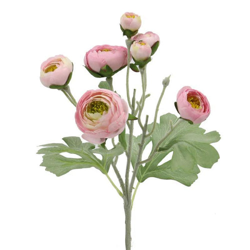 Pink Ranunculus Spray