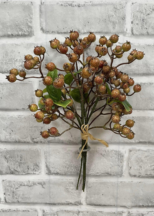 Fall Berry Bundle