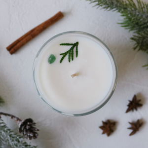 Forest | Fraser Fir + Balsam + Spice