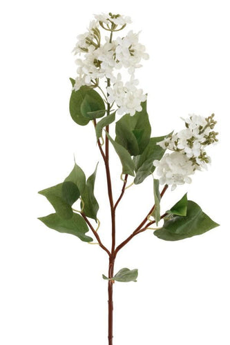 White Lilac Spray