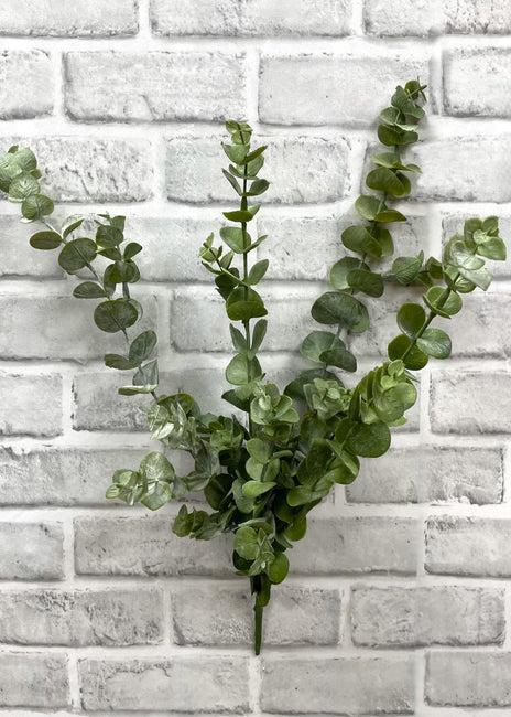 Fresh Touch Eucalyptus Bush