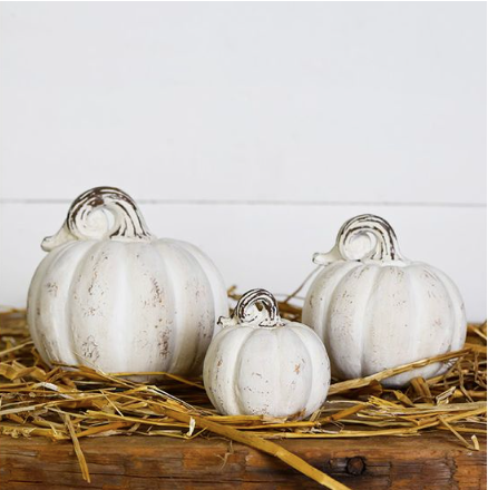 Distressed White Pumpkins