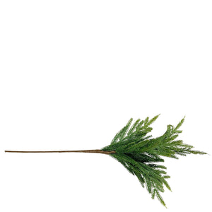24" Fresh Touch Norfolk Pick