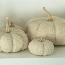 Load image into Gallery viewer, XS Beige Boucle Pumpkin