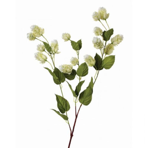 White Hops Spray
