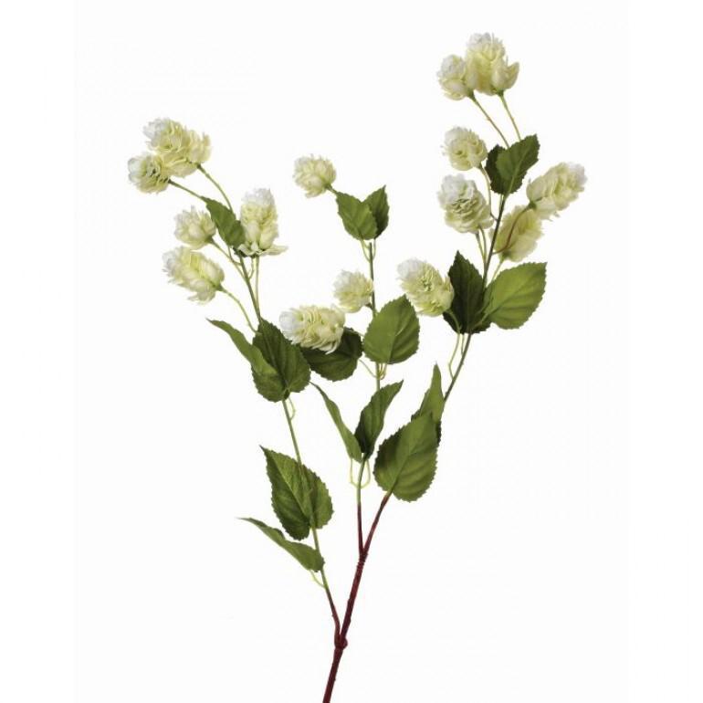 White Hops Spray