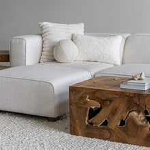 Load image into Gallery viewer, Cozy Crush Cushions