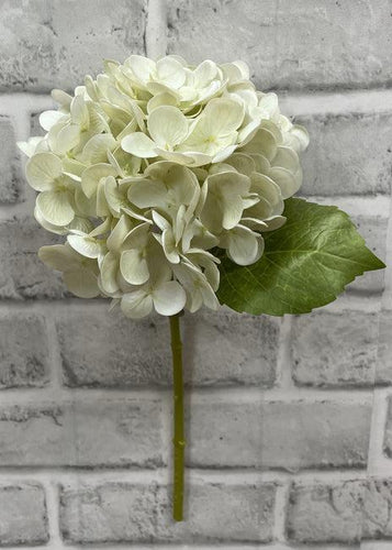 Fresh Touch Cream Hydrangea
