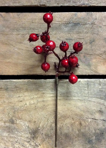 Mini Outdoor Berry Pick