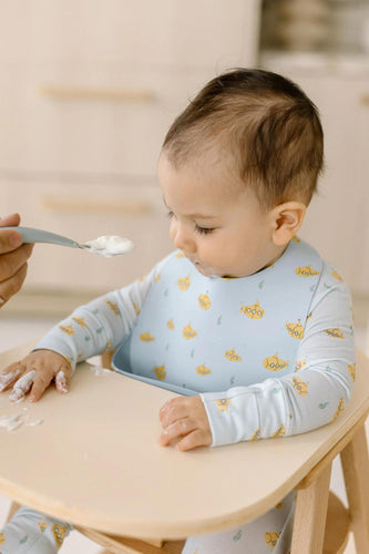 Oceans Explorer Silicone Bib