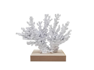 White Coral on Stand