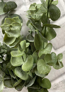 Fresh Touch Eucalyptus Bush