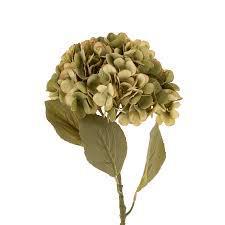 Faded Green Hydrangea Floral Stem