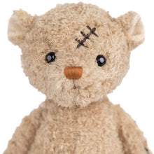 Load image into Gallery viewer, Nobody is Perfect Bear