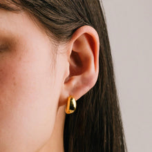 Load image into Gallery viewer, Crest Dome Hoop Earrings