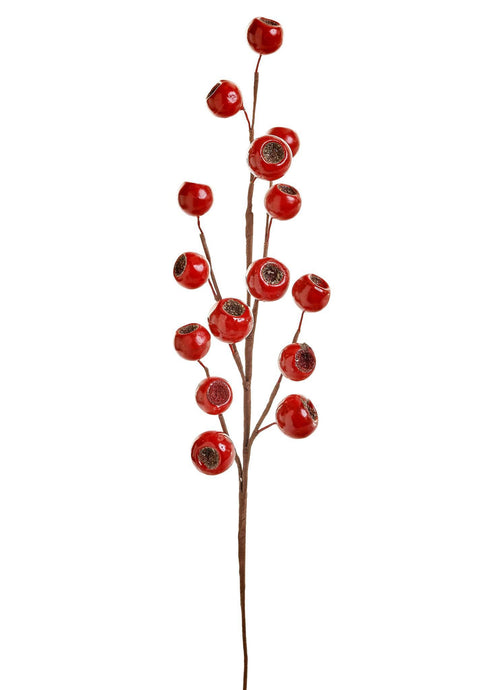 Red Pomegranate Spray