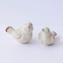 Load image into Gallery viewer, Spring Birds Ceramic
