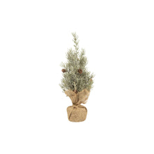 Load image into Gallery viewer, Pale Green Faux Balsam Tree in Burlap Base