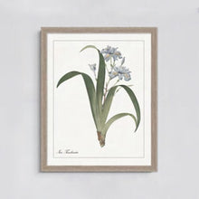 Load image into Gallery viewer, Delicate Blue Flowers Art Work *in store pickup only