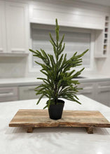 Load image into Gallery viewer, Fresh Touch Norfolk Pine Tree Potted