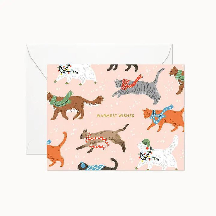 Warmest Wishes Cat Birthday