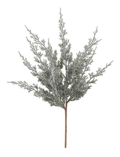 Frosted Cedar Spray