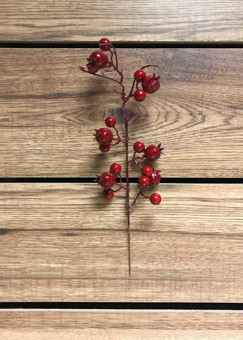 Mini Pomegranate & Berry Stem