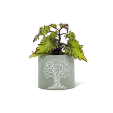 Load image into Gallery viewer, Small Delicate Tree of Life Planter