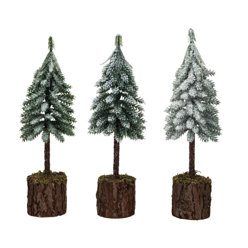 Fir Tree with Moss Base