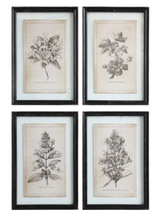 Load image into Gallery viewer, Neutral Black &amp; White Floral Frames *in store pickup only