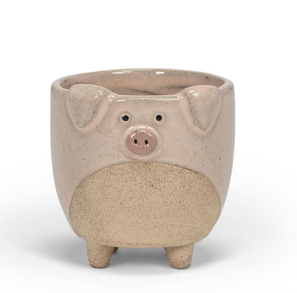 Mini Pig Pot