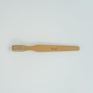 Mint Cleaning Brush