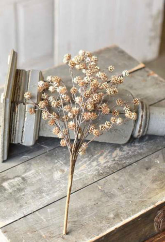 Gleaming Pinecone Bush