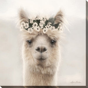 Alpaca with Flowers *in store pickup only