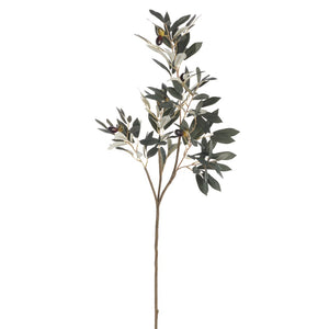 Large Olive Branch Spray *in store pickup only*